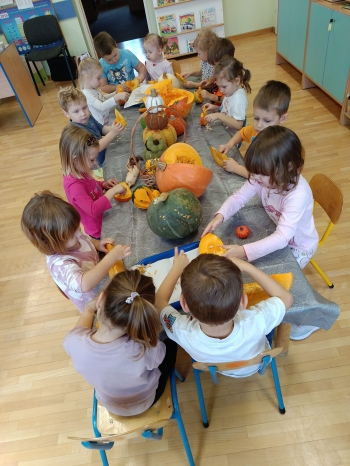 IMG20251030104842_BURST000_COVER