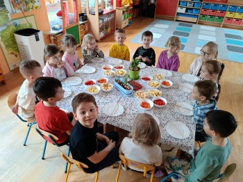 projekt1