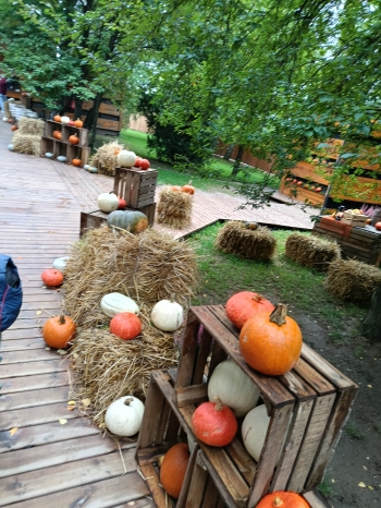 IMG20260922095048
