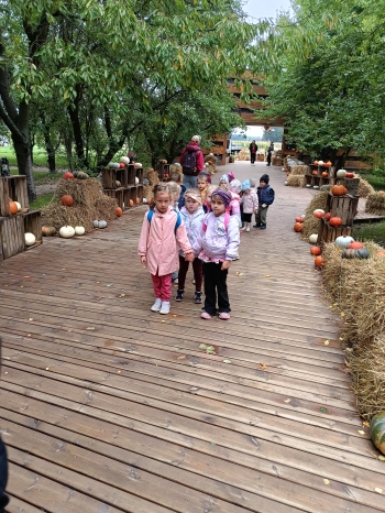 IMG20260922095002