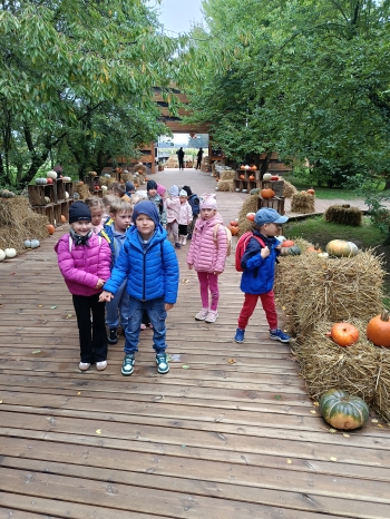IMG20260922095129