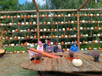 IMG20260922114156