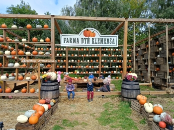 IMG20260922114401